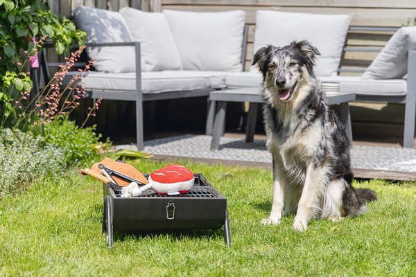 Игрушка для собак Beeztees Стейк для барбекю / 616977