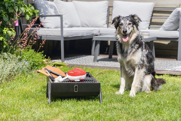 Игрушка для собак Beeztees Стейк для барбекю / 616977