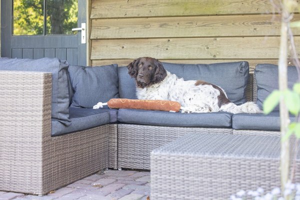 Игрушка для собак Beeztees Колбаса для барбекю / 616979