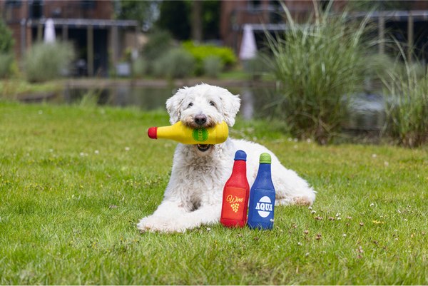 Игрушка для собак Beeztees Бутылка / 616980