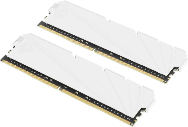 Оперативная память DDR4 Netac NTSSD4P32DP-16W
