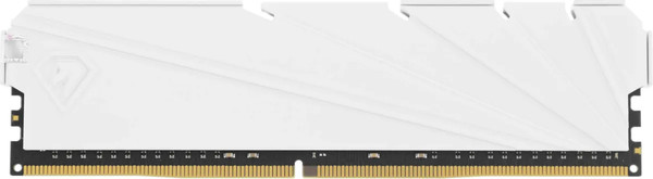 Оперативная память DDR4 Netac NTSSD4P32DP-16W