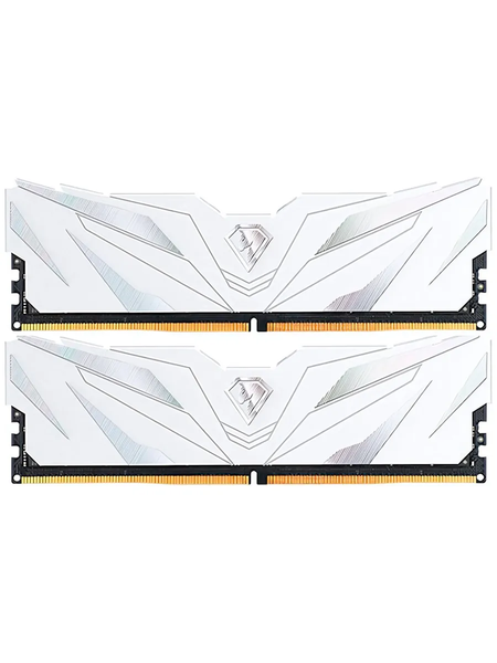 Оперативная память DDR4 Netac NTSWD5P48DP-32W