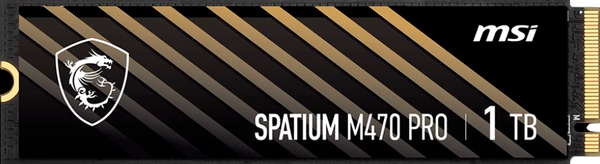 SSD диск MSI Spatium M470 Pro 1TB (S78-440L0J0-P83) - фото
