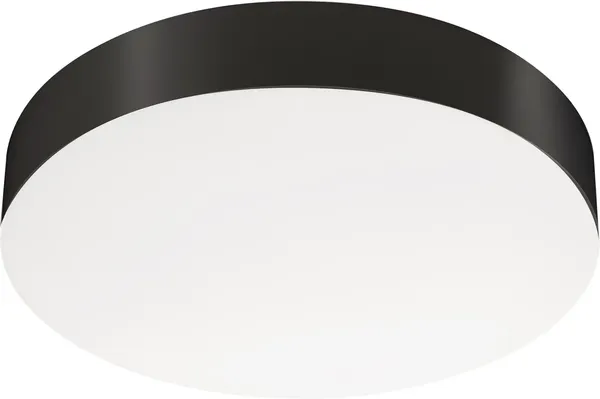 Потолочный светильник Arlight IM-FLOWER-EMERGENCY-3H-R360-18W Day4000-MIX BK 110deg / 042562 - фото