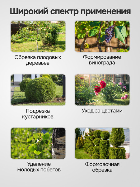 Секатор аккумуляторный GPT GBPS-M1825PO-BL