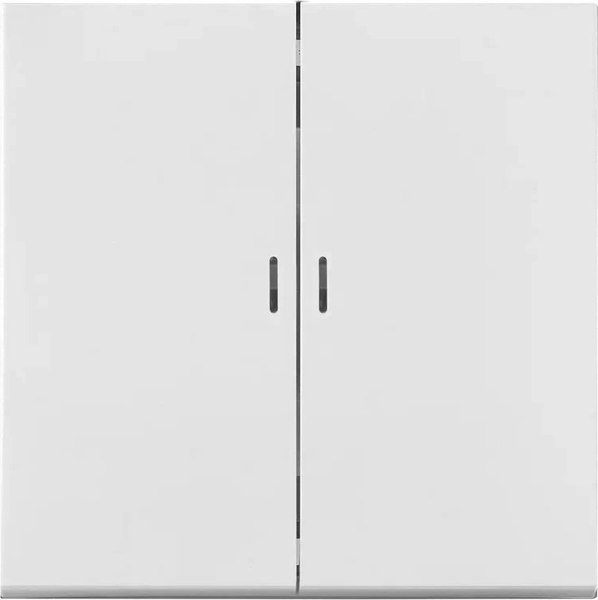 Выключатель Bylectrica С5 10-3608 - фото