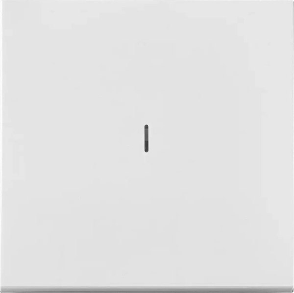 Выключатель Bylectrica С1 10-3607 - фото