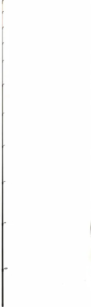 Удилище Dayo Everlast 18502-40-3м тест 40г / 14625