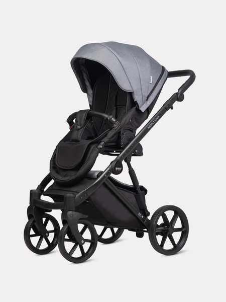 Детская универсальная коляска Riko Montana 2 в 1