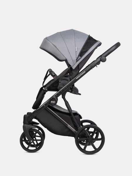 Детская универсальная коляска Riko Montana 2 в 1