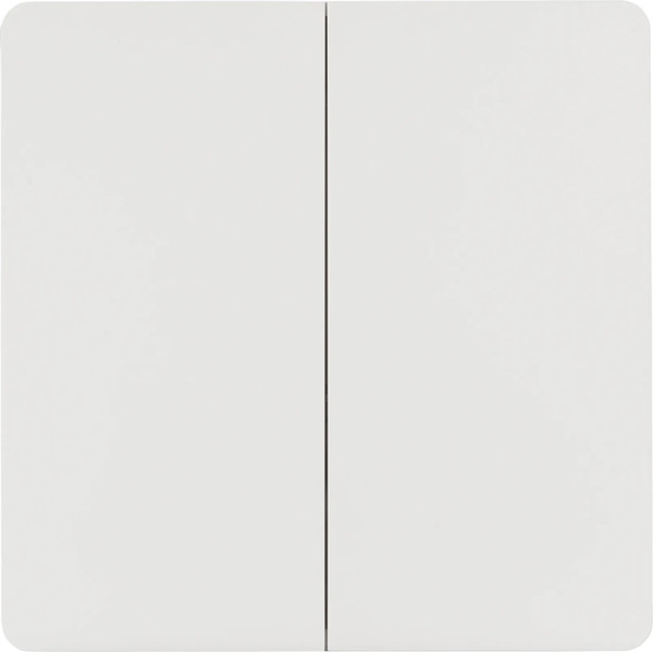 Выключатель Arlight Intelligent TUYA-228-2-RF-SUF / 031685 - фото