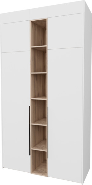 Шкаф Рэйгрупп Рэй S274-В4-EBЕ B4 - фото