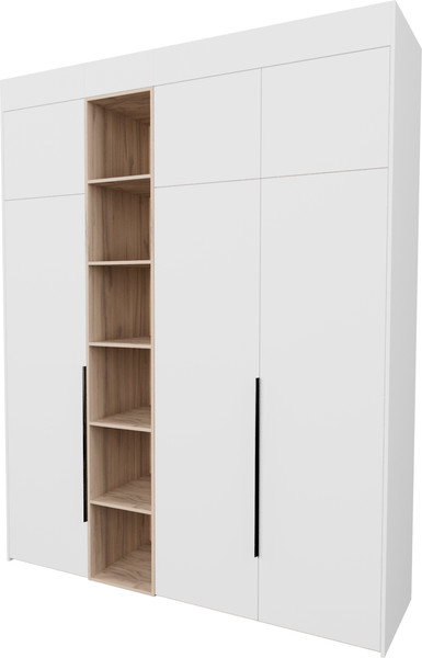 Шкаф Рэйгрупп Рэй S274-В8-1-EBЕ В8-1 - фото