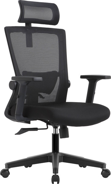 Кресло офисное Evolution ErgoLine 1 - фото