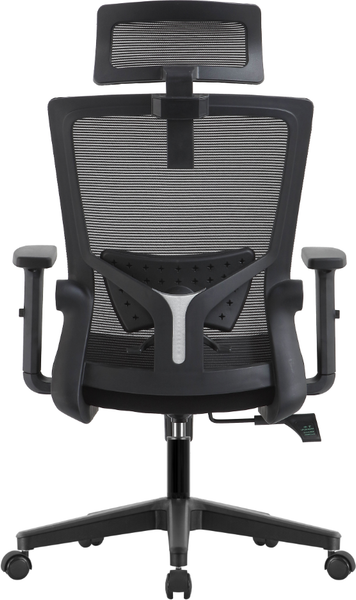 Кресло офисное Evolution ErgoLine 1