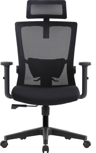 Кресло офисное Evolution ErgoLine 1