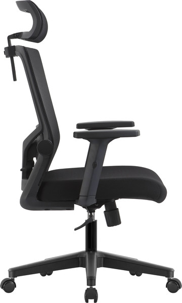 Кресло офисное Evolution ErgoLine 1