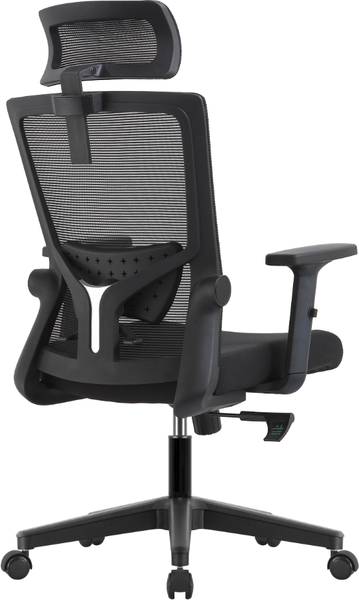 Кресло офисное Evolution ErgoLine 1