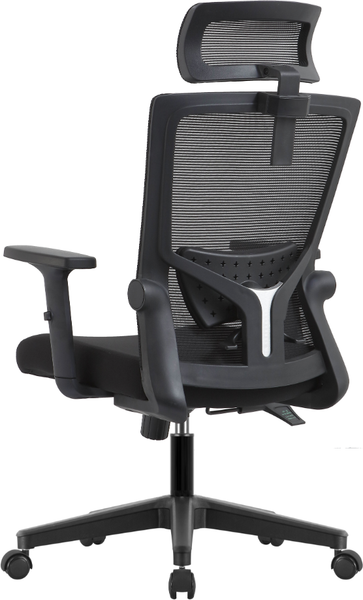 Кресло офисное Evolution ErgoLine 1