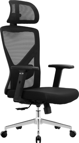 Кресло офисное Evolution ErgoLine 2 - фото