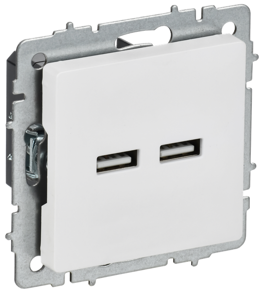 Розетка IEK Brite BR-U21-D31-K91 - фото