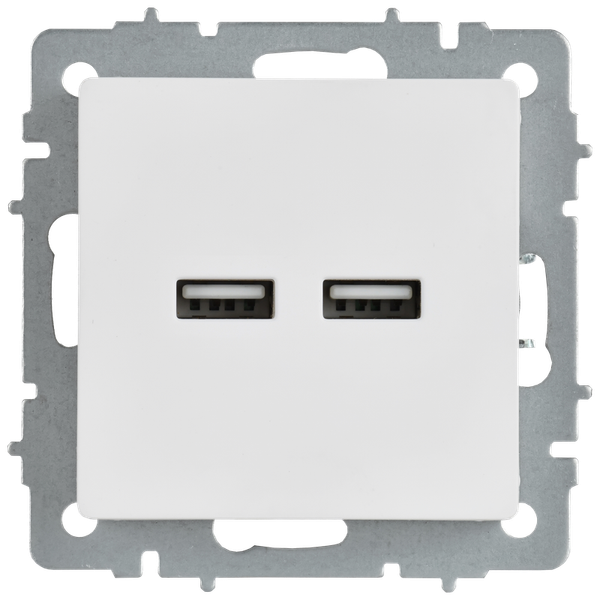 Розетка IEK Brite BR-U21-D31-K91