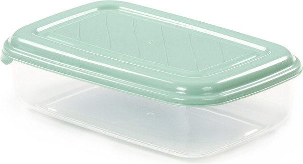 Контейнер Полесье №39 / 08708 - фото