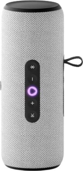 Умная портативная колонка Яндекс Станция Стрит YNDX-00030GRY - фото