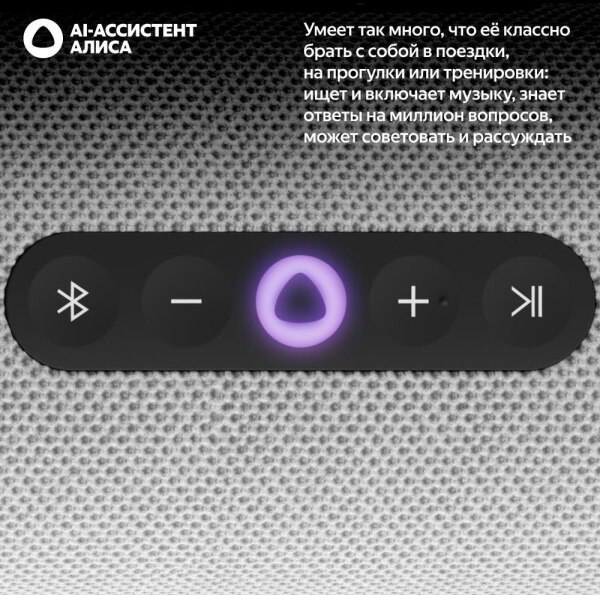 Умная портативная колонка Яндекс Станция Стрит YNDX-00030GRY