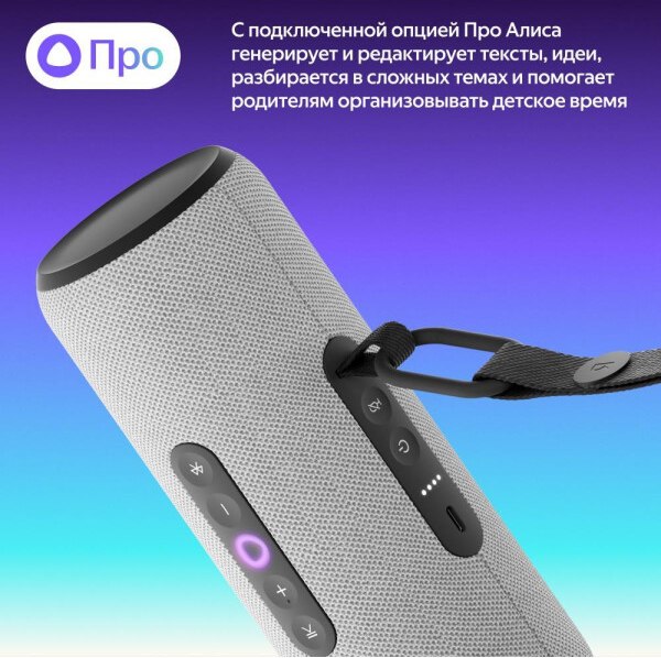 Умная портативная колонка Яндекс Станция Стрит YNDX-00030GRY