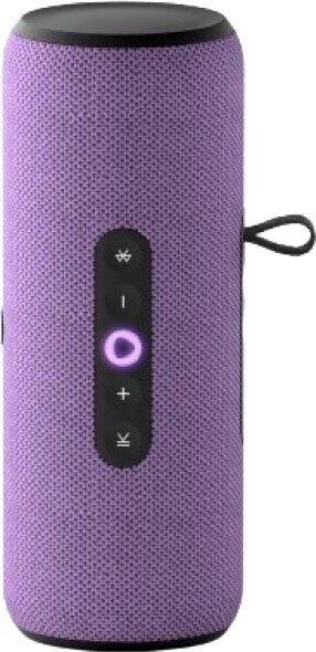 Умная портативная колонка Яндекс Станция Стрит YNDX-00030VIO - фото