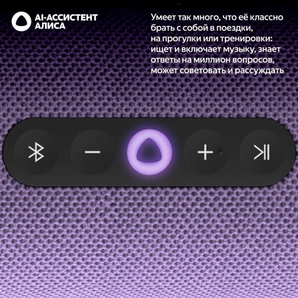 Умная портативная колонка Яндекс Станция Стрит YNDX-00030VIO