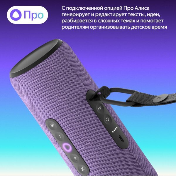 Умная портативная колонка Яндекс Станция Стрит YNDX-00030VIO