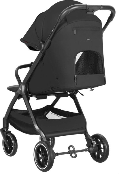 Детская прогулочная коляска Carrello Forza CRL-5535