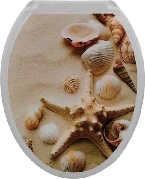 Сиденье для унитаза Русспласт Ракушки на песке / РП-813-ДРП - фото