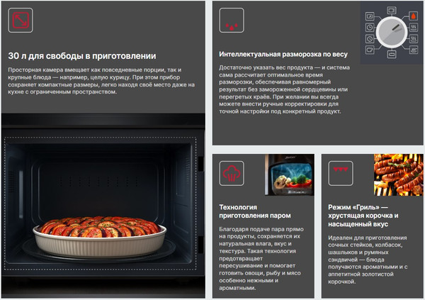 Ростер Steba DG 30