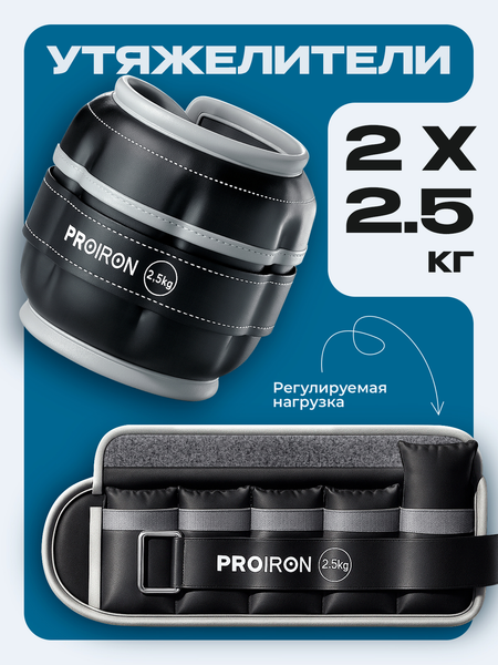 Комплект утяжелителей Proiron УТ225Ч