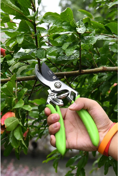 Секатор механический Deli EDL580207