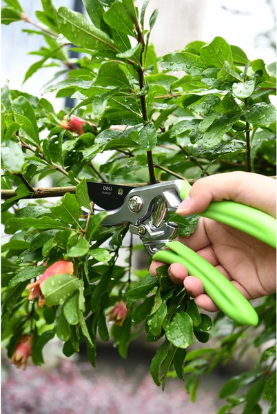 Секатор механический Deli EDL580207