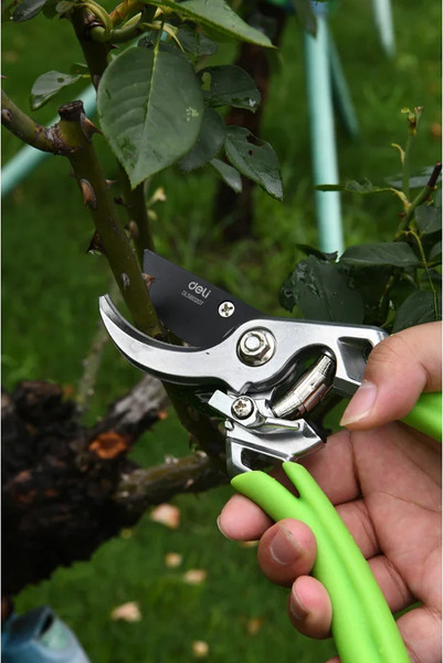 Секатор механический Deli EDL580207