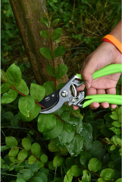 Секатор механический Deli EDL580207