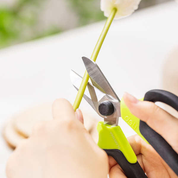 Садовые ножницы механические Deli DL580100A