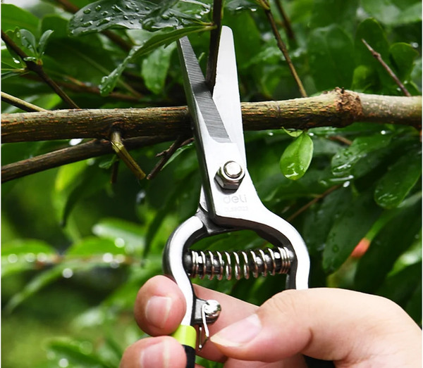 Садовые ножницы механические Deli EDL580123