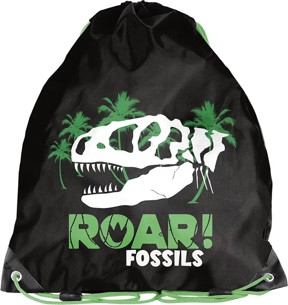 Мешок для обуви Paso PP24FS-712 - фото