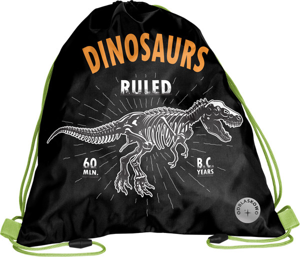 Мешок для обуви Paso BR-712-4 - фото