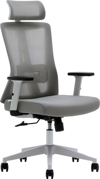 Кресло офисное Evolution ErgoLine 3 - фото