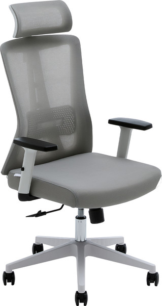 Кресло офисное Evolution ErgoLine 3