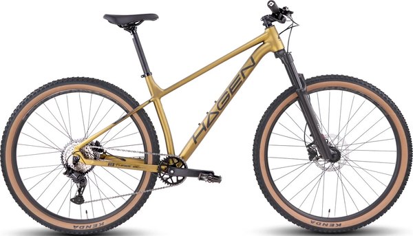 Велосипед Hagen Bikes 3.8 2025 / H25M38MU29L - фото