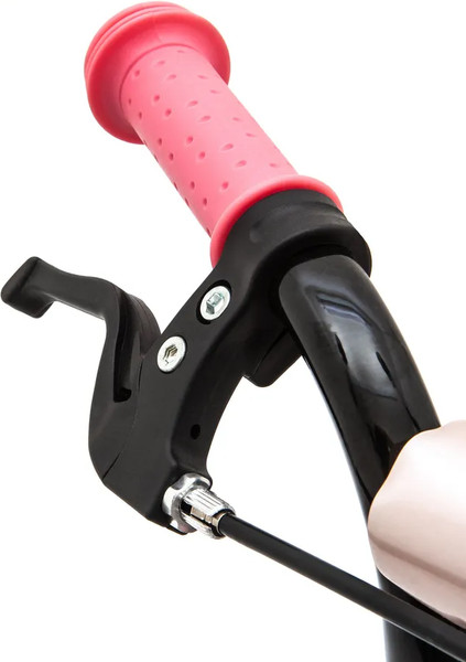 Детский велосипед с ручкой ZigZag Zoo 12 / ZG-1282